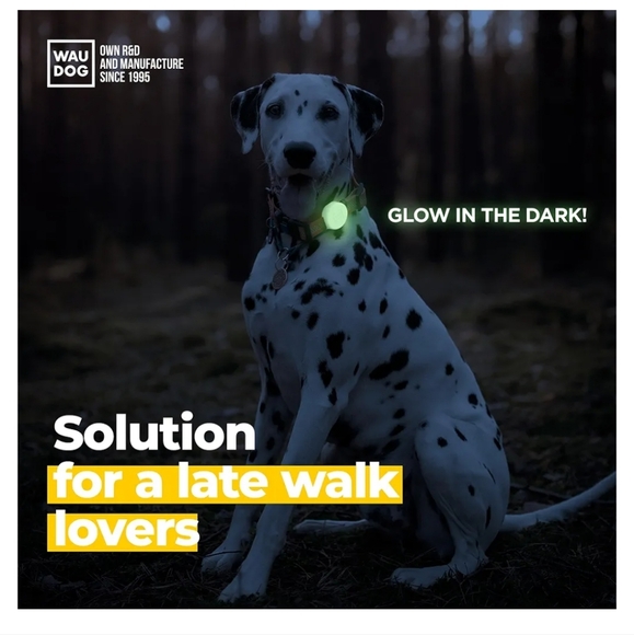 3-Pack AirTag Dog Collar Holder - Glow in The Dark - Picture 2 of 5